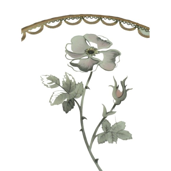 Plate KS Nejdek Malirna Floral center iridescent gold tone border - Picture 4 of 11